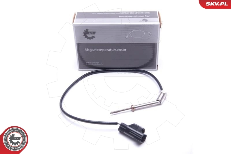 Sensor, exhaust gas temperature